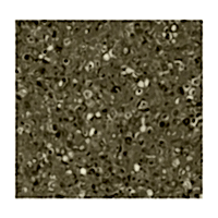 HOMOJEN PVC 1468 GRABO FORTIS SILVER KNIGHT TOBACCO ( GRUP T )