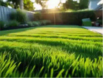 Çim Halı Neden Tercih Ediliyor?